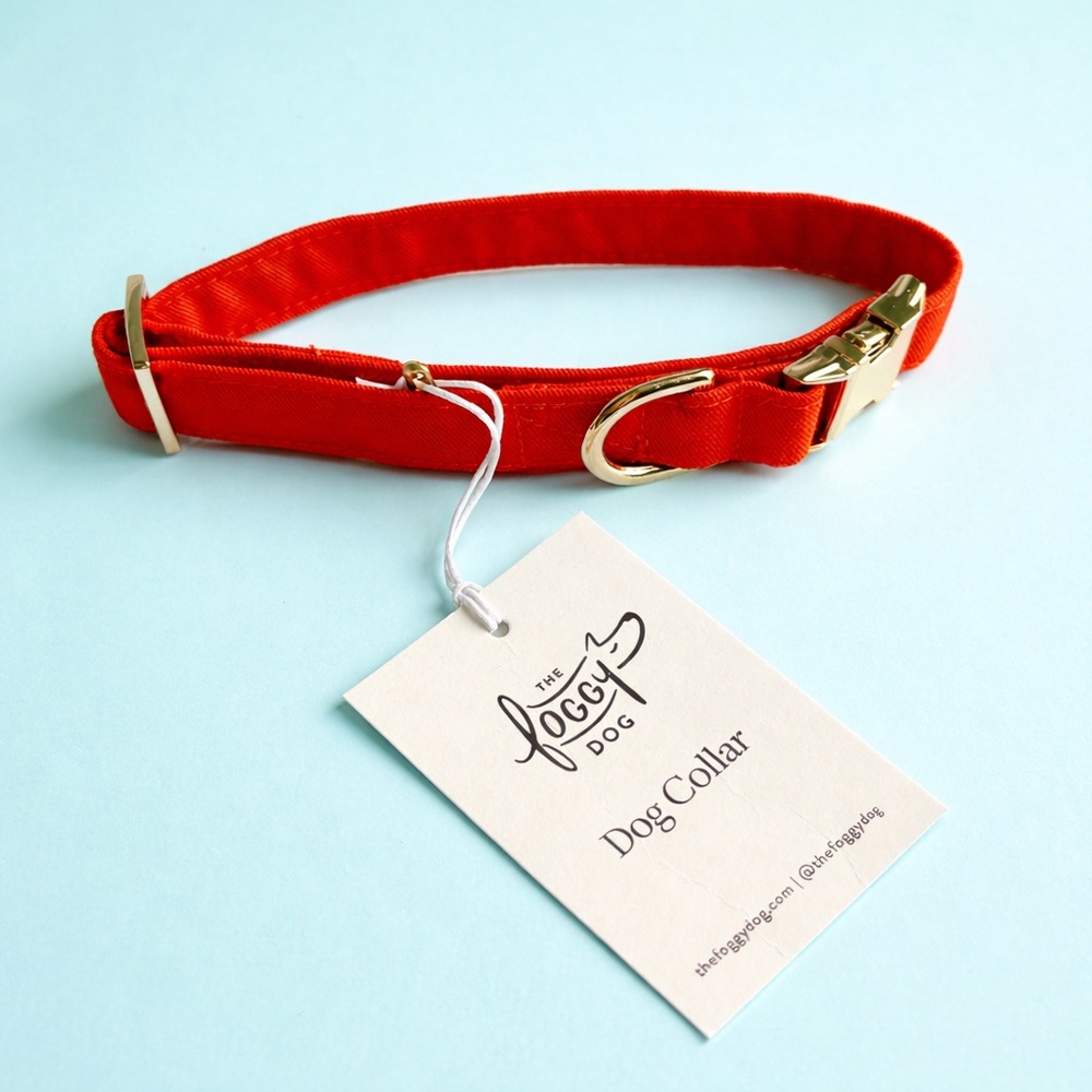 The Foggy Dog Orange Dog Collar Small Gold Hardware Pet Fall Harvest NEW w/ tags